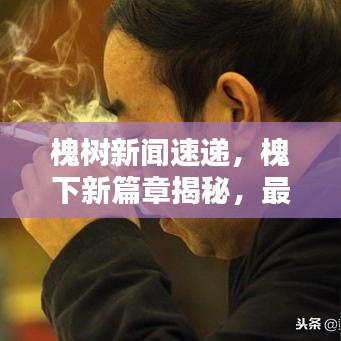 槐树新闻速递，槐下新篇章揭秘，最新动态一网打尽！