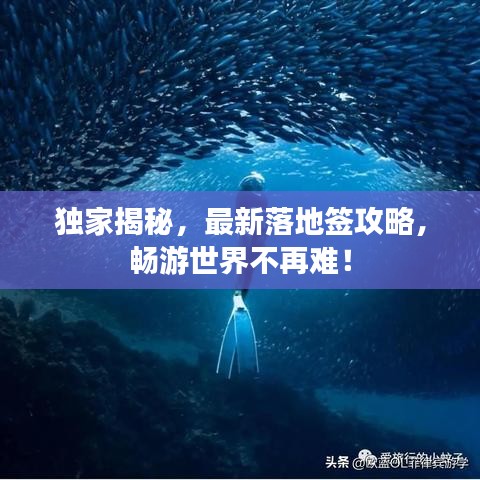 独家揭秘，最新落地签攻略，畅游世界不再难！