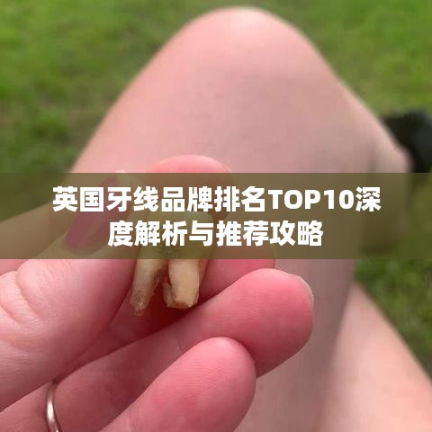 英国牙线品牌排名TOP10深度解析与推荐攻略