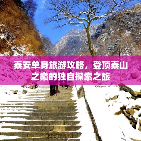 泰安单身旅游攻略，登顶泰山之巅的独自探索之旅