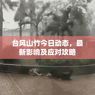 台风山竹今日动态，最新影响及应对攻略