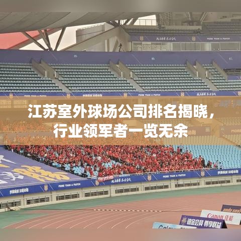 江苏室外球场公司排名揭晓，行业领军者一览无余