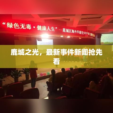 鹿城之光，最新事件新闻抢先看