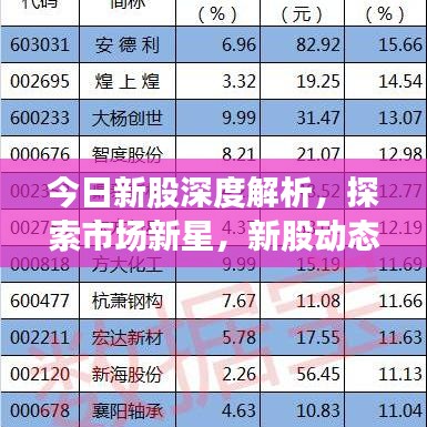 今日新股深度解析，探索市场新星，新股动态一览无余