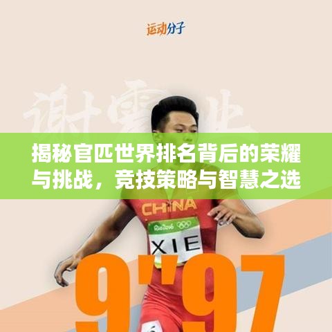 揭秘官匹世界排名背后的荣耀与挑战，竞技策略与智慧之选