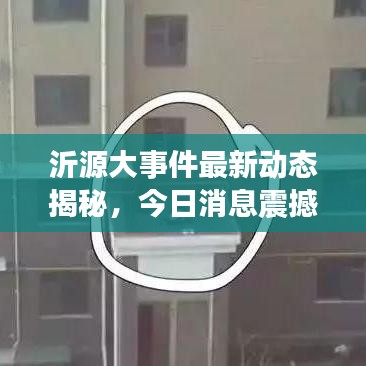 沂源大事件最新动态揭秘，今日消息震撼曝光！