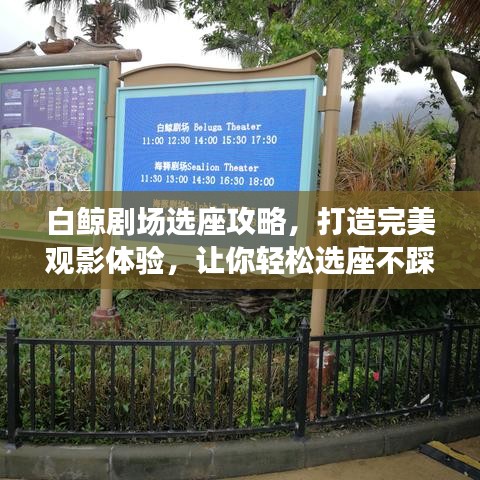 白鲸剧场选座攻略，打造完美观影体验，让你轻松选座不踩坑！