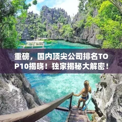 重磅，国内顶尖公司排名TOP10揭晓！独家揭秘大解密！