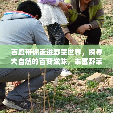 百度带你走进野菜世界，探寻大自然的百变滋味，丰富野菜种类一网打尽！