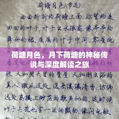 荷塘月色，月下荷塘的神秘传说与深度解读之旅