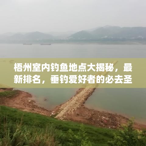 梧州室内钓鱼地点大揭秘，最新排名，垂钓爱好者的必去圣地
