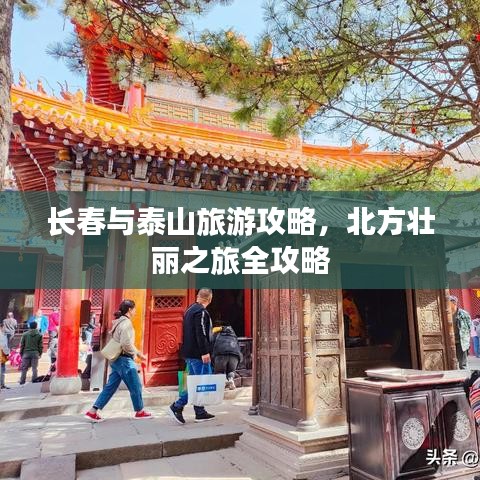 长春与泰山旅游攻略，北方壮丽之旅全攻略