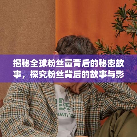 揭秘全球粉丝量背后的秘密故事，探究粉丝背后的故事与影响力