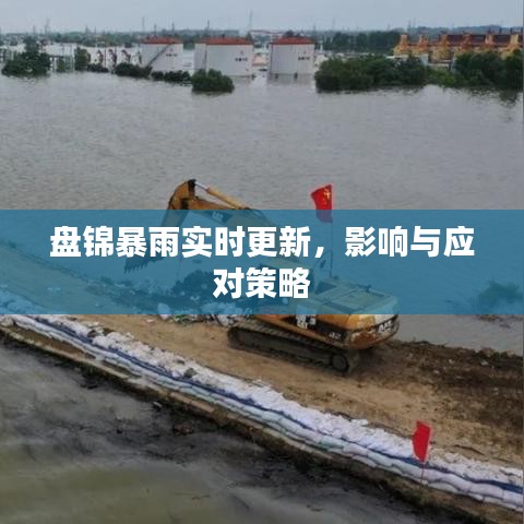 盘锦暴雨实时更新，影响与应对策略