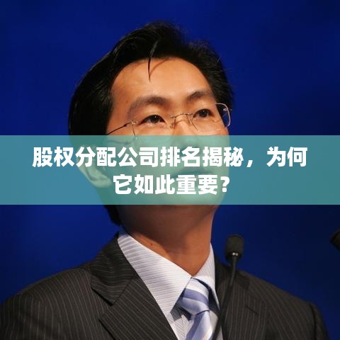 股权分配公司排名揭秘，为何它如此重要？
