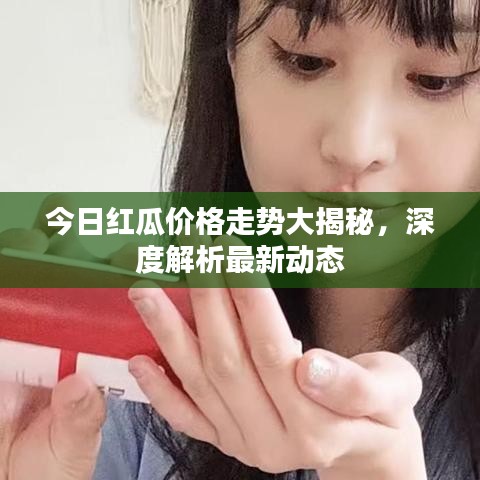 今日红瓜价格走势大揭秘，深度解析最新动态