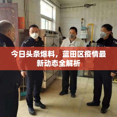 今日头条爆料，蓝田区疫情最新动态全解析