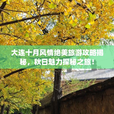 大连十月风情绝美旅游攻略揭秘，秋日魅力探秘之旅！