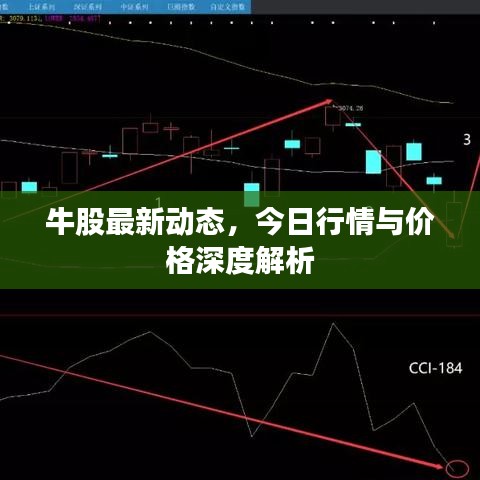 牛股最新动态，今日行情与价格深度解析