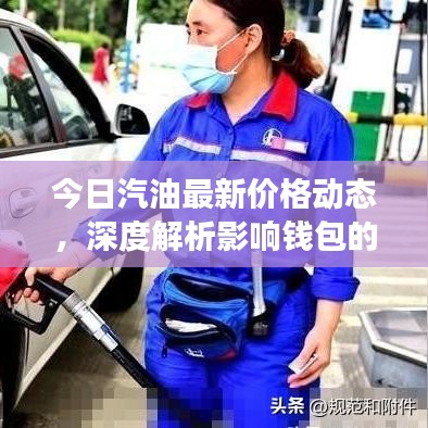 今日汽油最新价格动态，深度解析影响钱包的油价变化