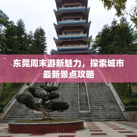 东莞周末游新魅力，探索城市最新景点攻略