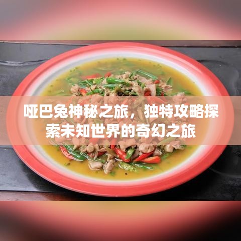 哑巴兔神秘之旅，独特攻略探索未知世界的奇幻之旅