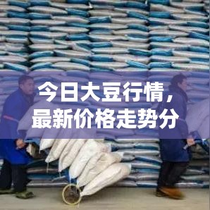 今日大豆行情，最新价格走势分析与预测报告