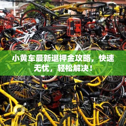 小黄车最新退押金攻略，快速无忧，轻松解决！