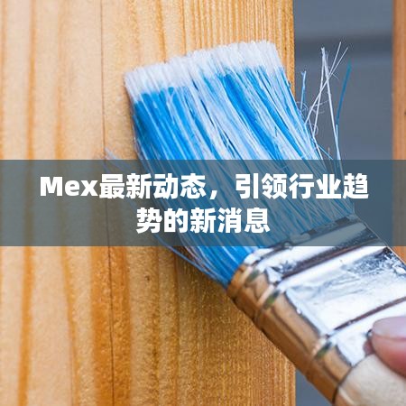 Mex最新动态，引领行业趋势的新消息