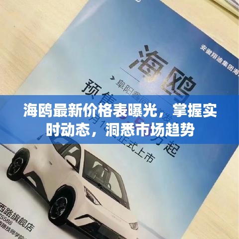 海鸥最新价格表曝光，掌握实时动态，洞悉市场趋势