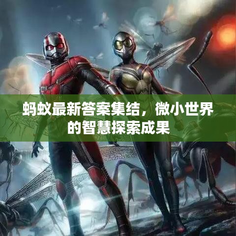 蚂蚁最新答案集结，微小世界的智慧探索成果