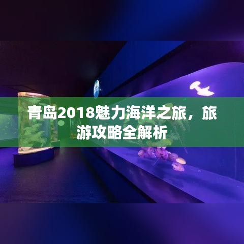 青岛2018魅力海洋之旅，旅游攻略全解析