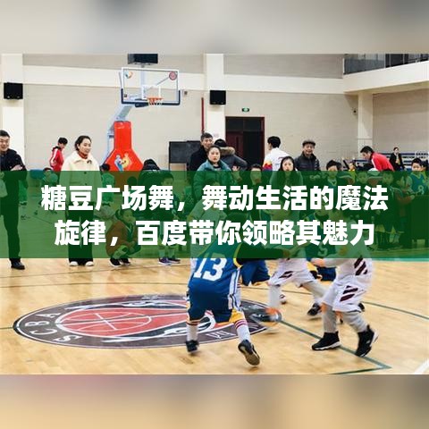 糖豆广场舞，舞动生活的魔法旋律，百度带你领略其魅力