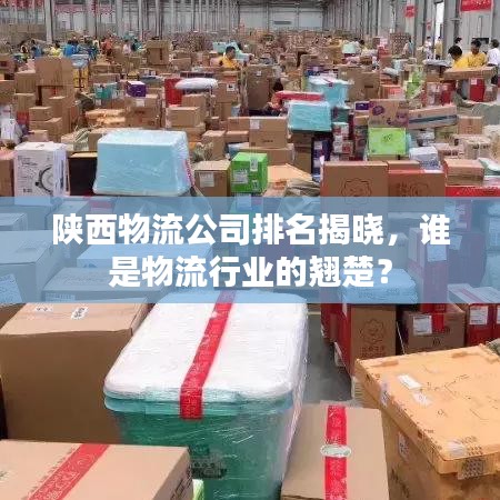 陕西物流公司排名揭晓，谁是物流行业的翘楚？