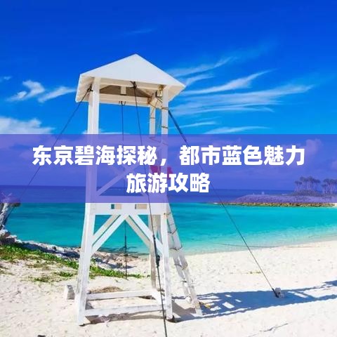 东京碧海探秘，都市蓝色魅力旅游攻略