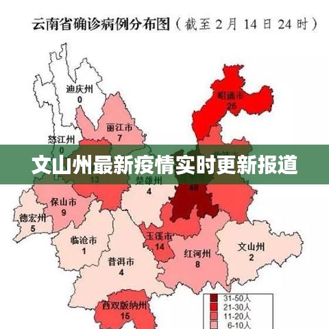 文山州最新疫情实时更新报道