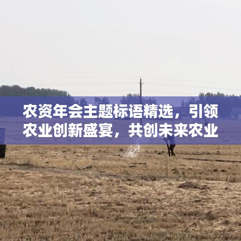 农资年会主题标语精选，引领农业创新盛宴，共创未来农业新篇章