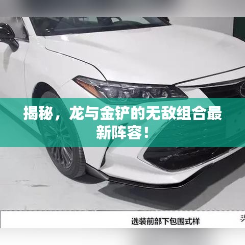 揭秘，龙与金铲的无敌组合最新阵容！