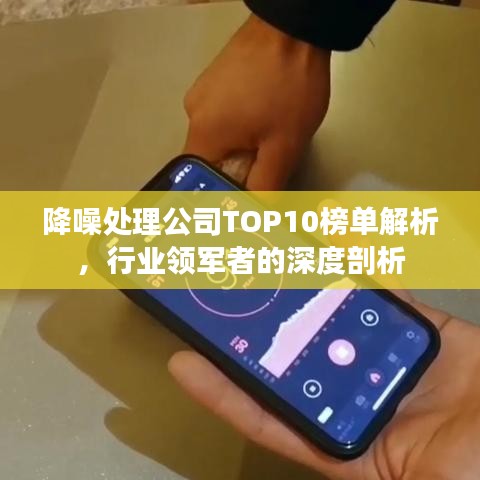 降噪处理公司TOP10榜单解析，行业领军者的深度剖析