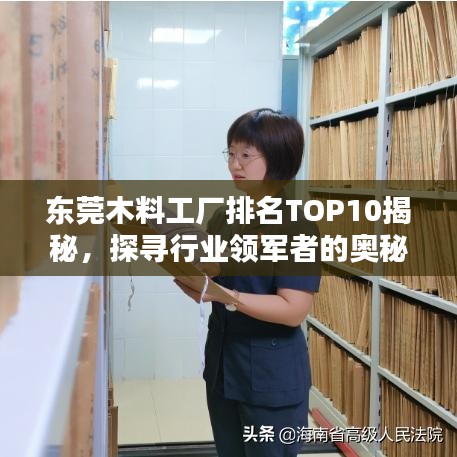 东莞木料工厂排名TOP10揭秘，探寻行业领军者的奥秘