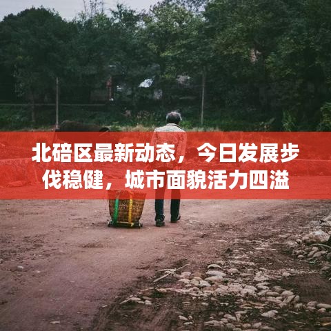 北碚区最新动态，今日发展步伐稳健，城市面貌活力四溢
