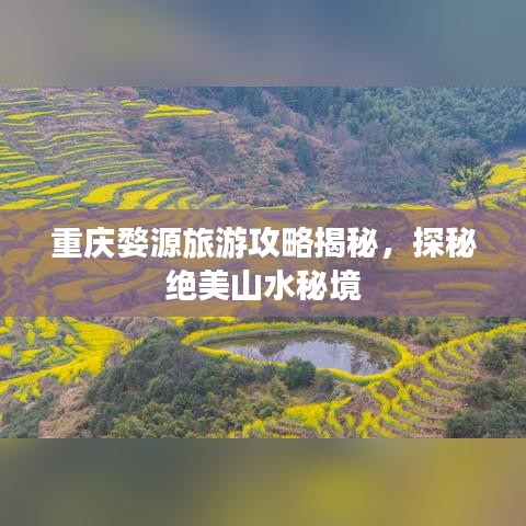 2025年6月 第505页