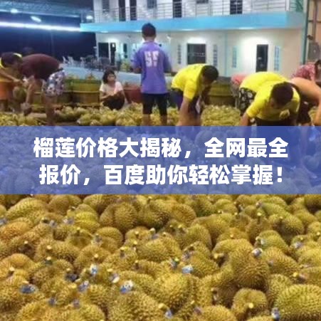 榴莲价格大揭秘，全网最全报价，百度助你轻松掌握！