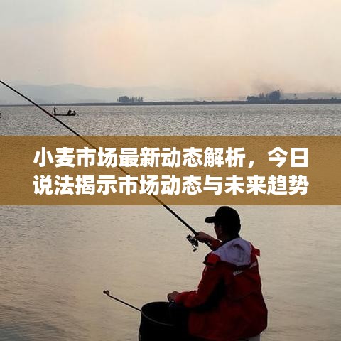 2025年6月11日 第43页