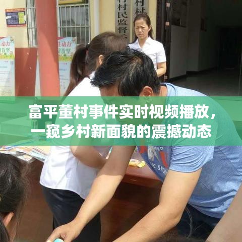 富平董村事件实时视频播放，一窥乡村新面貌的震撼动态