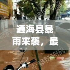 通海县暴雨来袭，最新消息、影响及应对举措全解析