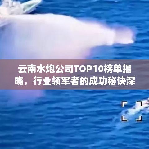云南水炮公司TOP10榜单揭晓，行业领军者的成功秘诀深度解读！