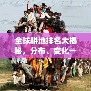 全球耕地排名大揭秘，分布、变化一览无余