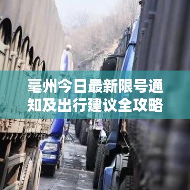 毫州今日最新限号通知及出行建议全攻略！
