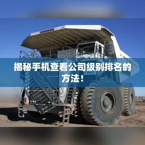 揭秘手机查看公司级别排名的方法！